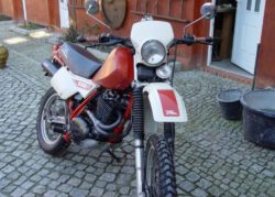 Wer transportiert ein Motorrad von Jessen (Elster) nach Frankfurt am Main